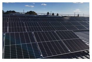 Solar Powering the Cater Plus Auckland Support Office